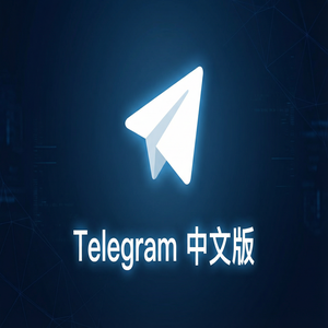 纸飞机中文版阅后即焚消息功能使用教程（进阶篇） - Telegram 官网